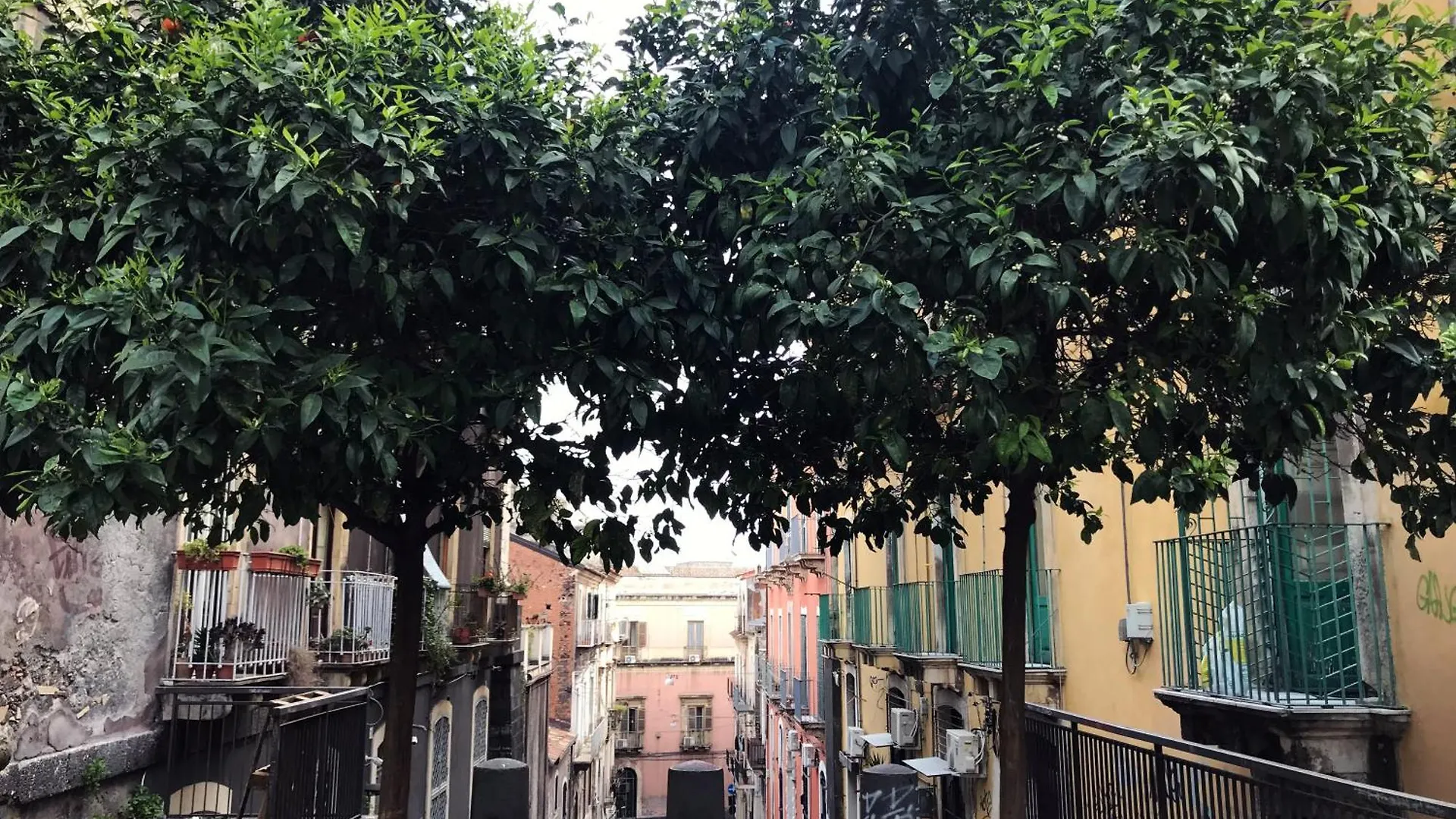Πανσιόν Dimora San Camillo Ξενοδοχείο Κατάνια